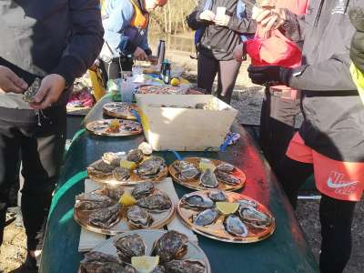 sortie Huîtres avec vue sur Loire